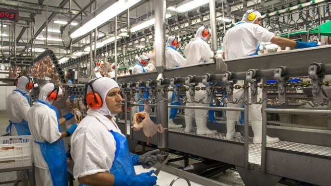 A man wearing ear protectors and gloves in front of many machines.