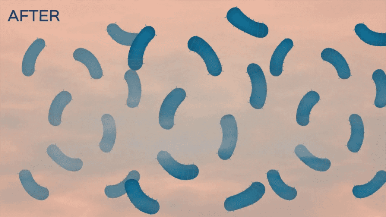 A group of blue bacteria floating in the air.